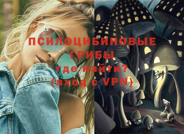хмурый Алексин