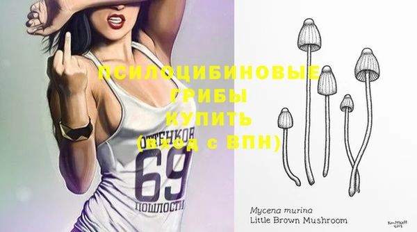 хмурый Алексин