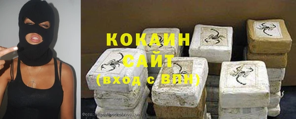 хмурый Алексин