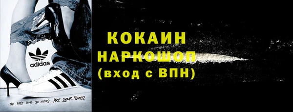 хмурый Алексин