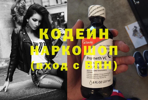 хмурый Алексин