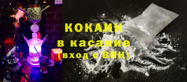 хмурый Алексин