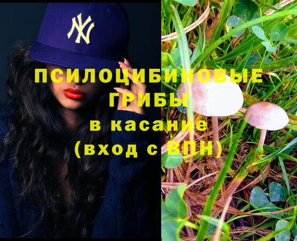 круглые Алексеевка