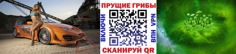 купить наркотик  Усть-Лабинск  Псилоцибиновые грибы Psilocybine cubensis 
